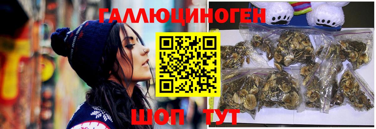 Йошкар-Ола  Псилоцибиновые грибы Psilocybine cubensis  Вход с VPN 