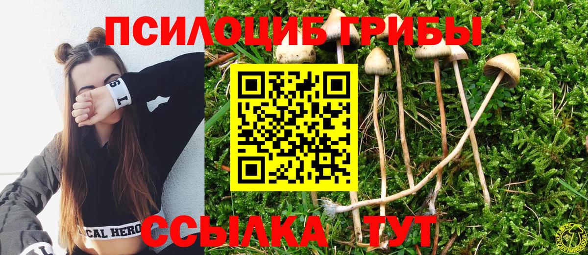 А ПВП Йошкар-Ола
