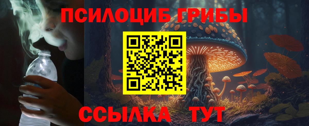 Псилоцибиновые грибы GOLDEN TEACHER Йошкар-Ола